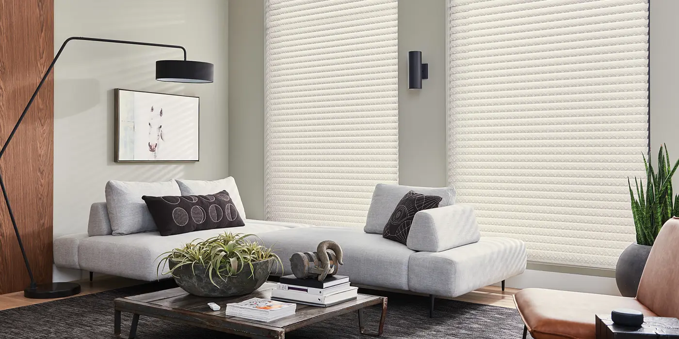 luxury sheer shades filtering natural light in modern interiors